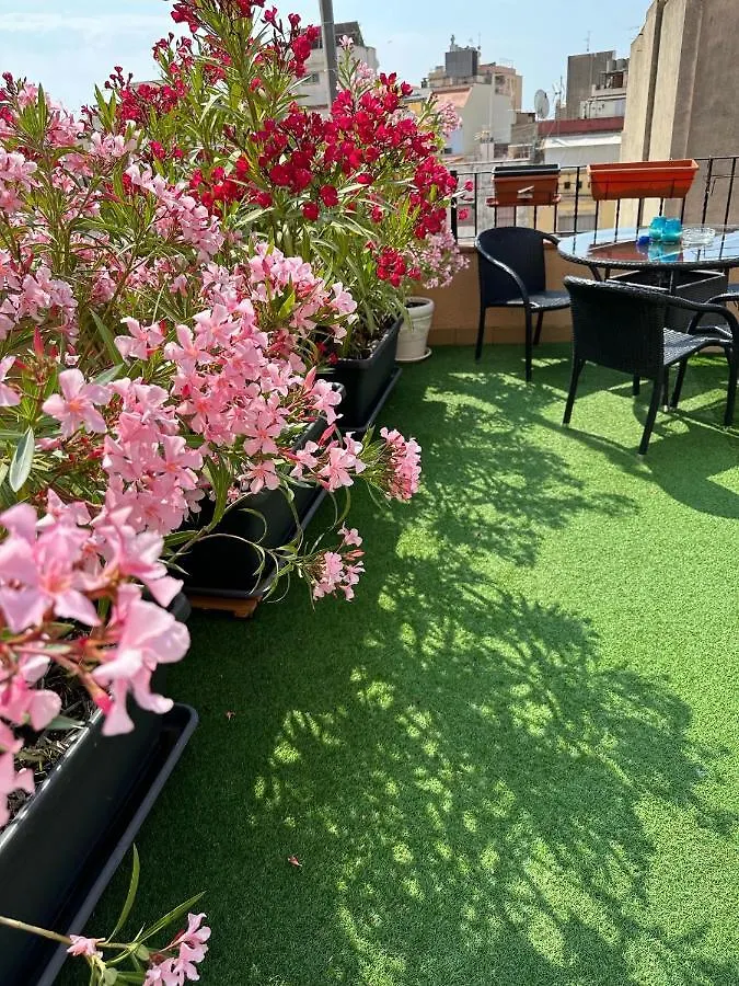 Royal Inn Aparthotel Lloret de Mar 2*,
